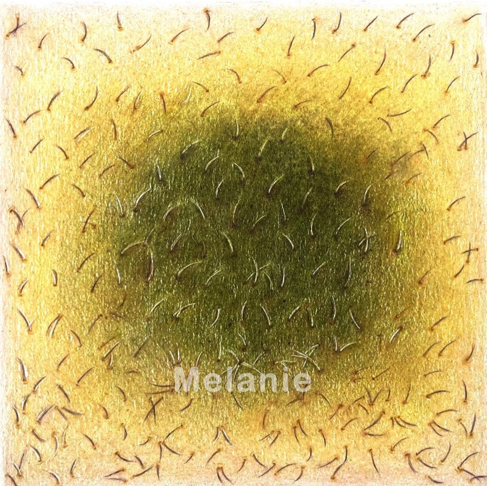 Fruit Skin 1